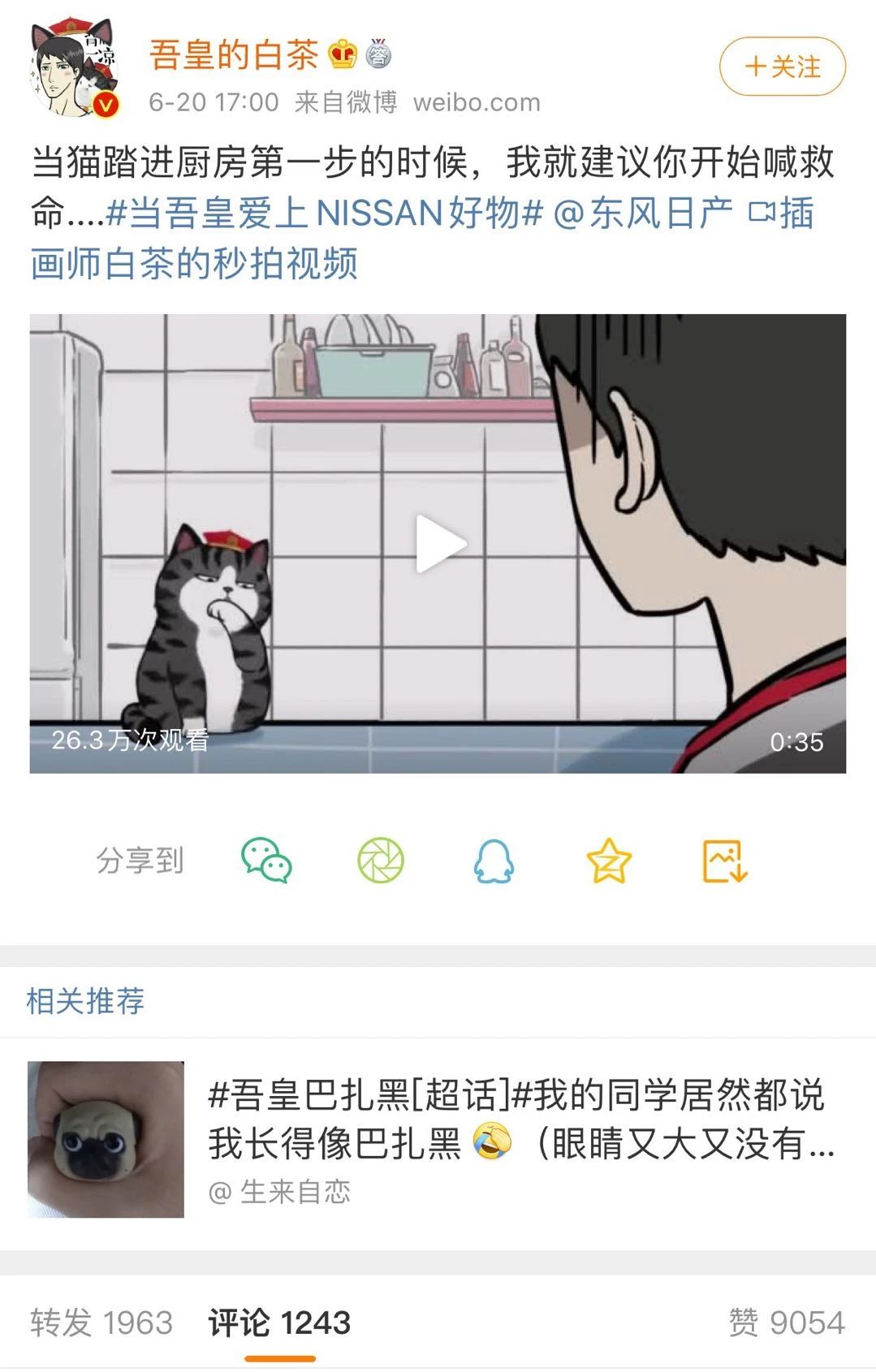 当猫主子不拆家了，你一定想知道发生了什么！