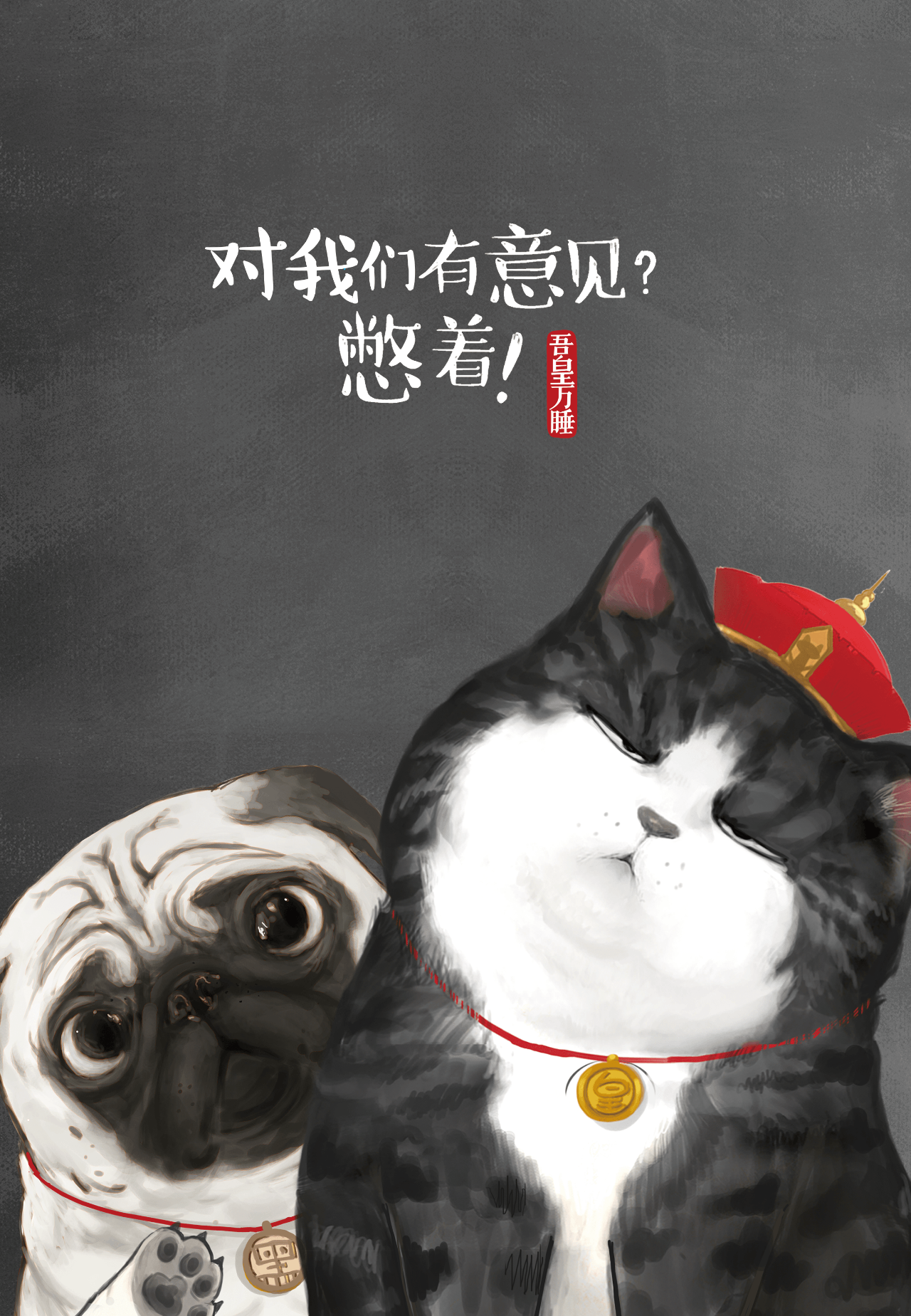 当猫主子不拆家了，你一定想知道发生了什么！ height=