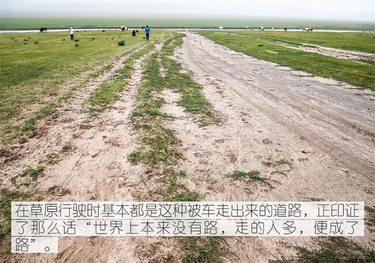 南方孩子首体验 跟着途达&佳能走一趟大草原-图6
