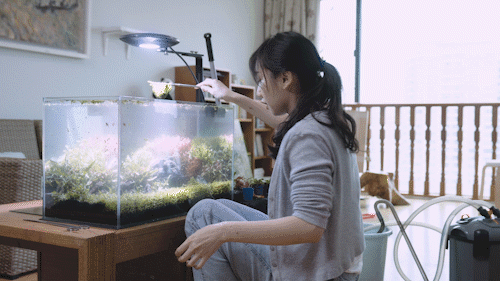 专注所热爱，生活从来“困”不住精彩图