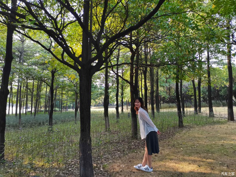 【万物复苏送福利】草长莺飞山野绿，携美同游赏春花-图3