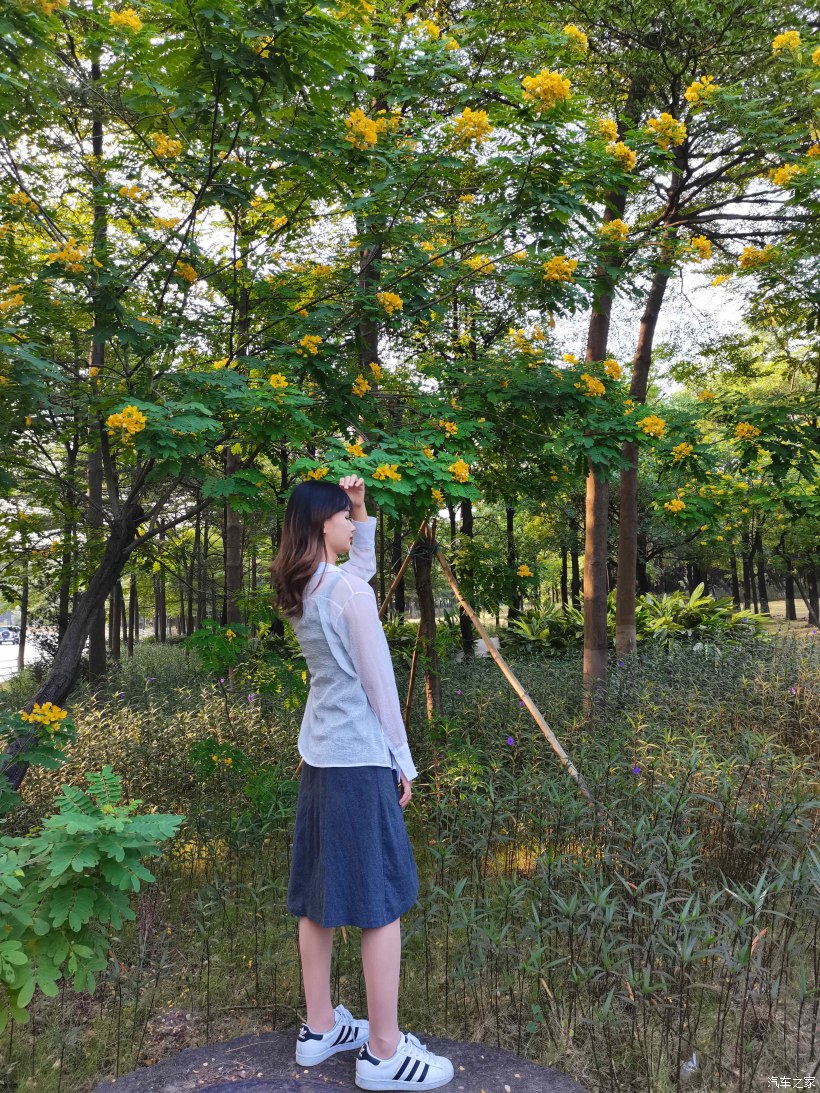 【万物复苏送福利】草长莺飞山野绿，携美同游赏春花-图5