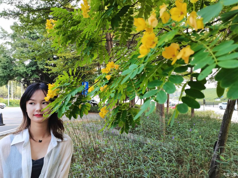 【万物复苏送福利】草长莺飞山野绿，携美同游赏春花-图6