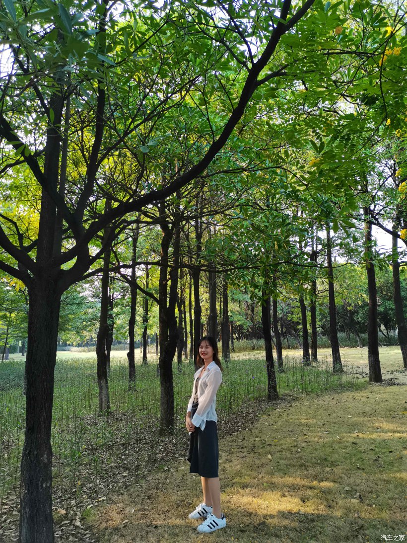 【万物复苏送福利】草长莺飞山野绿，携美同游赏春花-图4